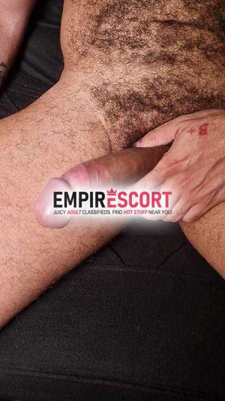 peludo carinhoso com local
