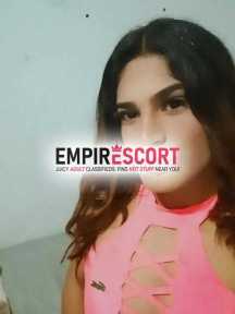 faço programa araquari