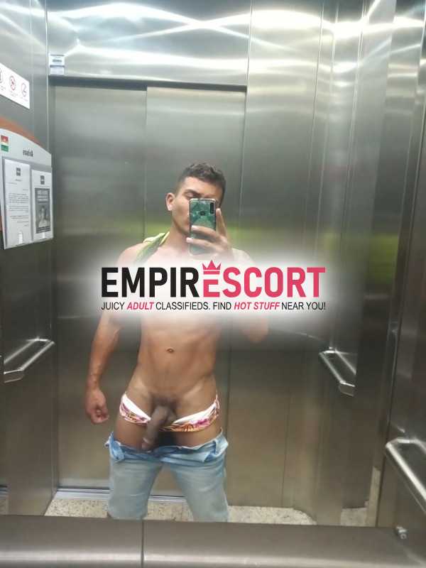 dotado paraense ativo