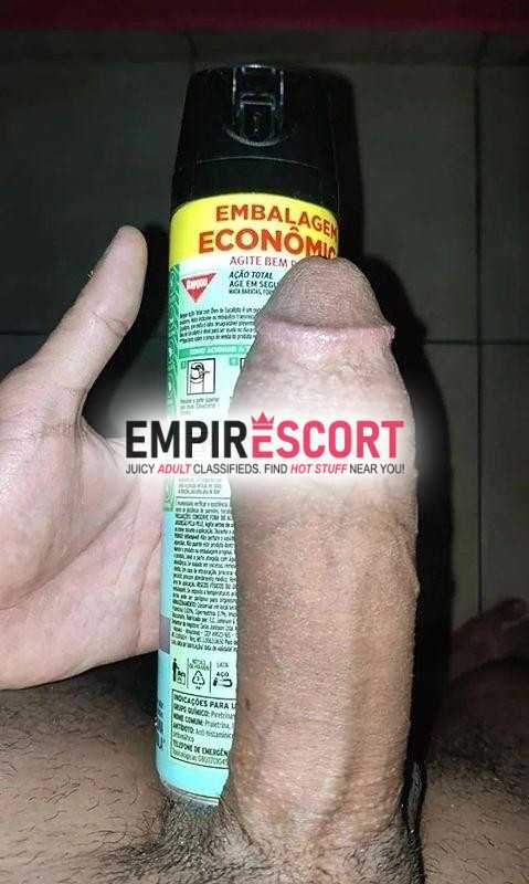 disponível o dia todo