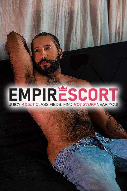 peludo carinhoso com local