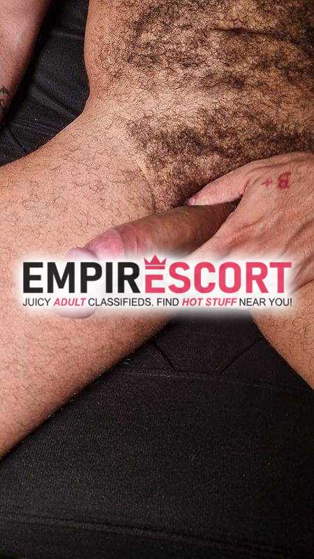 peludo carinhoso com local