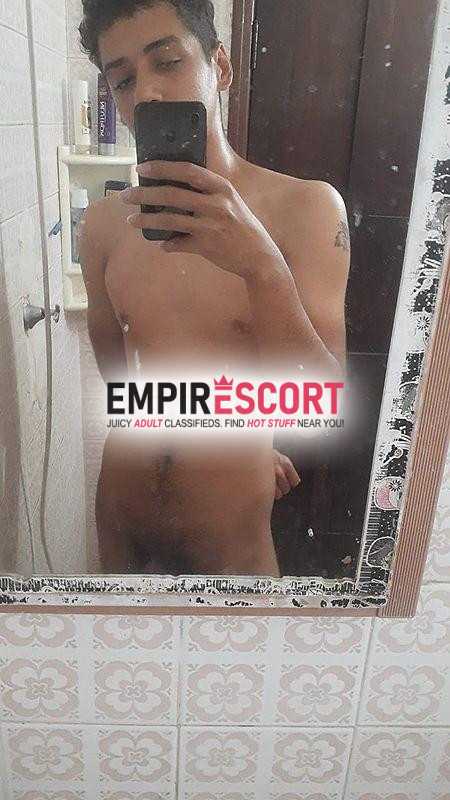 novinho peludinho disponÍvel