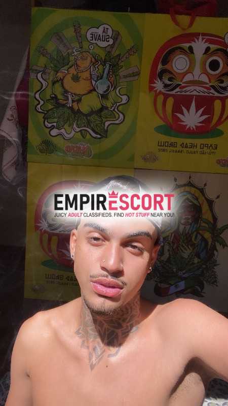novinho versátil