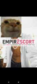 miguel scoth