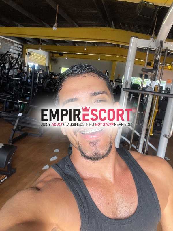 leitão safado