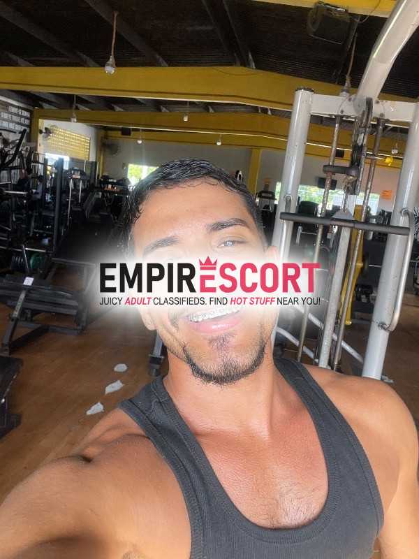 leitão safado