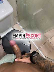 novo em cwb