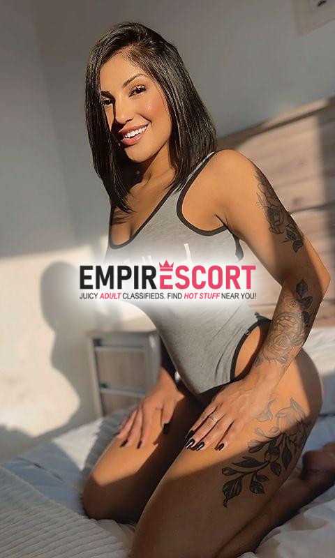 novidade no site