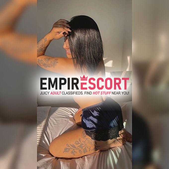 novidade no site