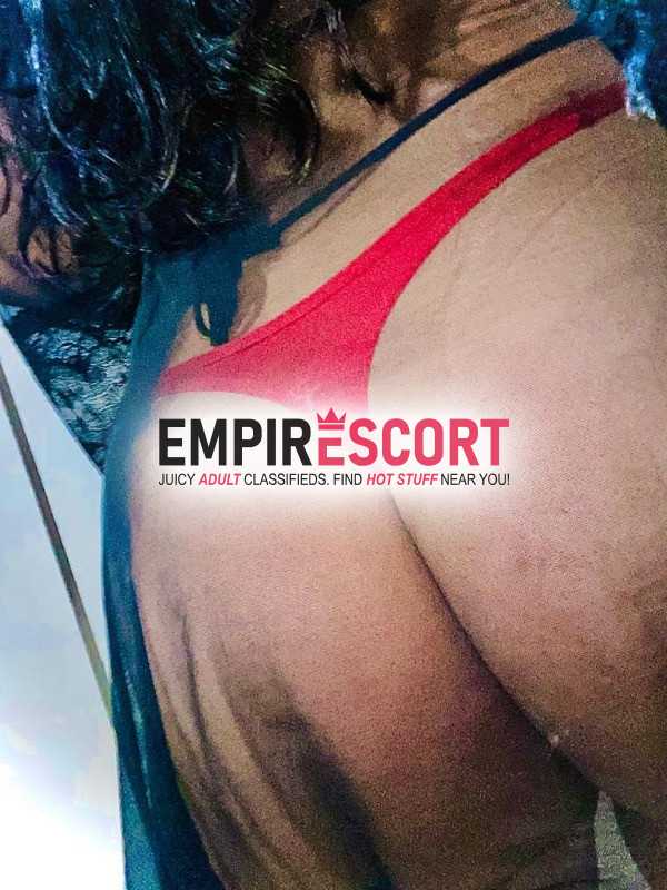 algum gato dotado afim de brincar