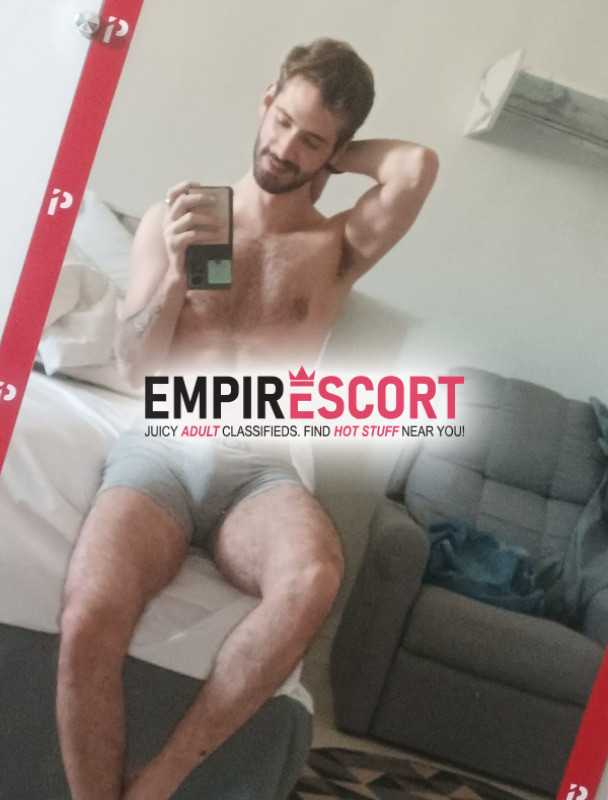 gato novinho