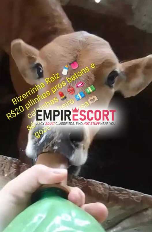 bizerrinha raiz travesty