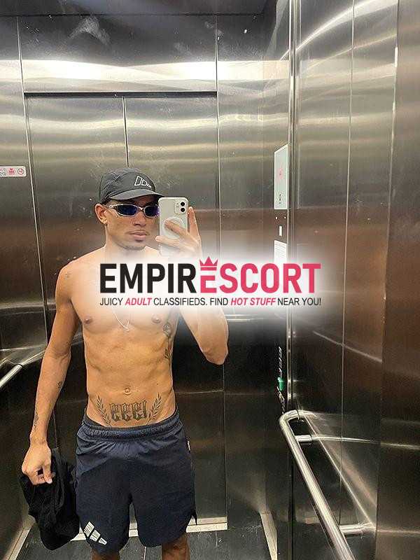 novinho nordestino