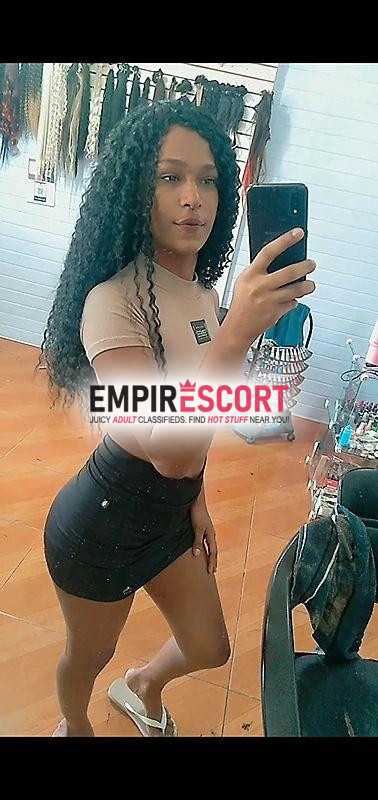 sem-vergonha