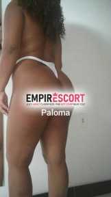 paloma com local em laranjeiras