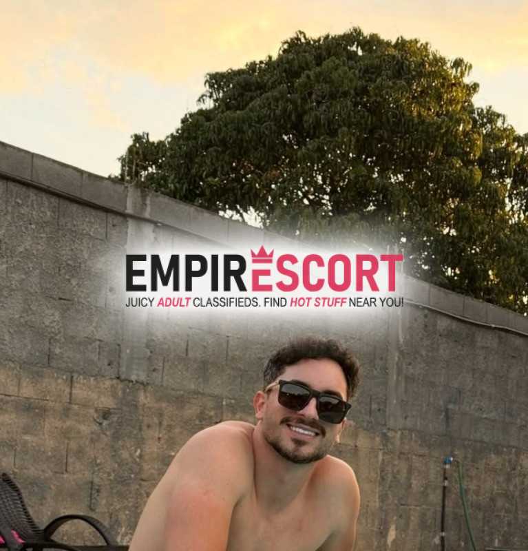 famoso cachorro