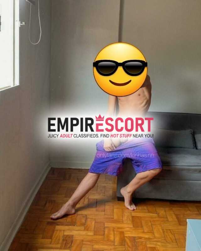 famoso cachorro