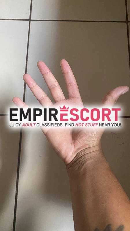 novin safado